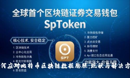 如何应对比特币区块链数据膨胀：现状与解决方案
