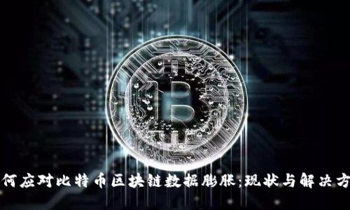 如何应对比特币区块链数据膨胀：现状与解决方案