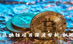 2023年最新区块链项目深度