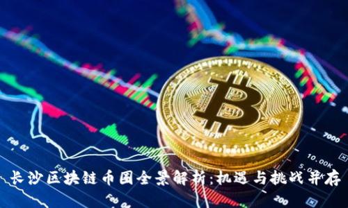 长沙区块链币圈全景解析：机遇与挑战并存