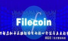 理解虚拟币区块链项目的