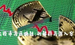 比特币与区块链：的解释