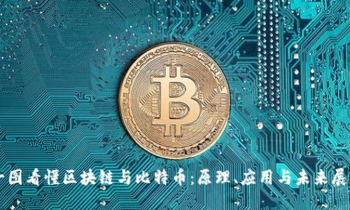 一图看懂区块链与比特币：原理、应用与未来展望