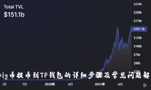  pig币提币到TP钱包的详细步骤及常见问题解答