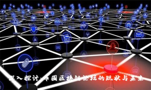 深入探讨：币圈区块链论坛的现状与未来