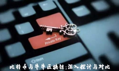 
比特币与牛牛区块链：深入探讨与对比
