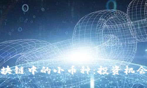 如何看待区块链中的小币种：投资机会与风险解析