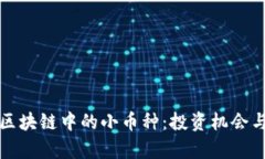 如何看待区块链中的小币