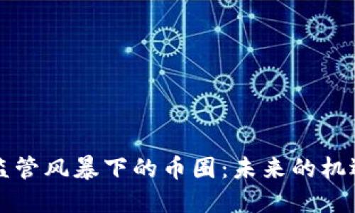 区块链监管风暴下的币圈：未来的机遇与挑战