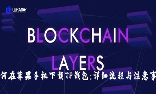 如何在苹果手机下载TP钱包：详细流程与注意事项