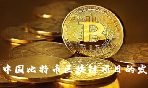 深入了解中国比特币区块链项目的发展与现状