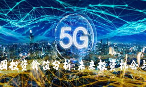 区块链币圈投资价值分析：未来投资机会与风险详解