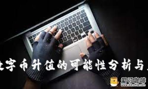 区块链数字币升值的可能性分析与未来趋势