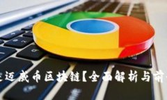什么是迈威币区块链？全