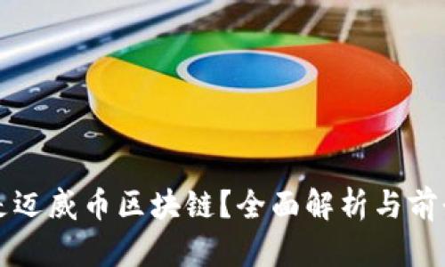 什么是迈威币区块链？全面解析与前景展望