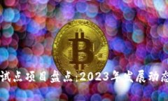 区块链最新试点项目盘点：2023年发展动态与前景