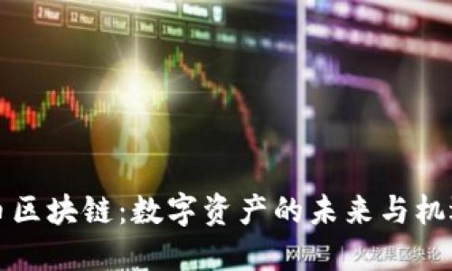 比亚币区块链：数字资产的未来与机遇探讨