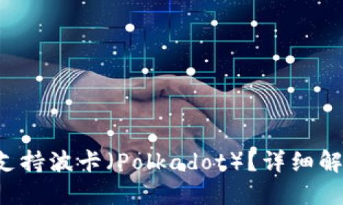 TP钱包是否支持波卡（Polkadot）？详细解读与使用指南