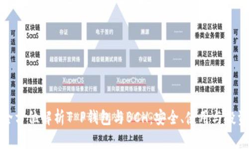 全方位解析T P钱包与BCH：安全、使用与投资