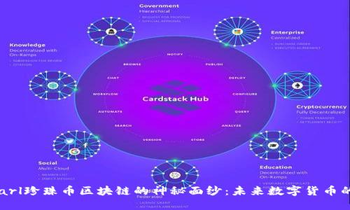 揭开Pearl珍珠币区块链的神秘面纱：未来数字货币的新曙光