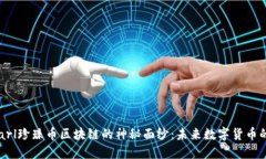 揭开Pearl珍珠币区块链的神秘面纱：未来数字货币