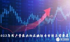 2023年用户量最大的区块链币分析与前景展望