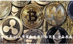 如何在iOS上下载和使用T
