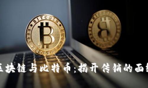 区块链与比特币：揭开传销的面纱