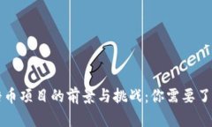 区块链糖币项目的前景与挑战：你需要了解的一