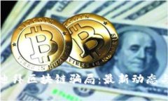 揭秘迪拜区块链骗局：最新动态与警示