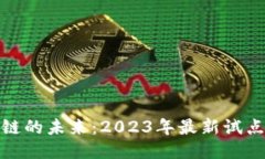 探索区块链的未来：2023年最新试点项目揭秘