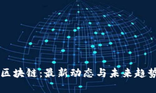 雷宇区块链：最新动态与未来趋势分析