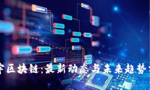 雷宇区块链：最新动态与未来趋势分析