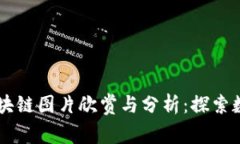 高清比特币区块链图片欣赏与分析：探索数字货
